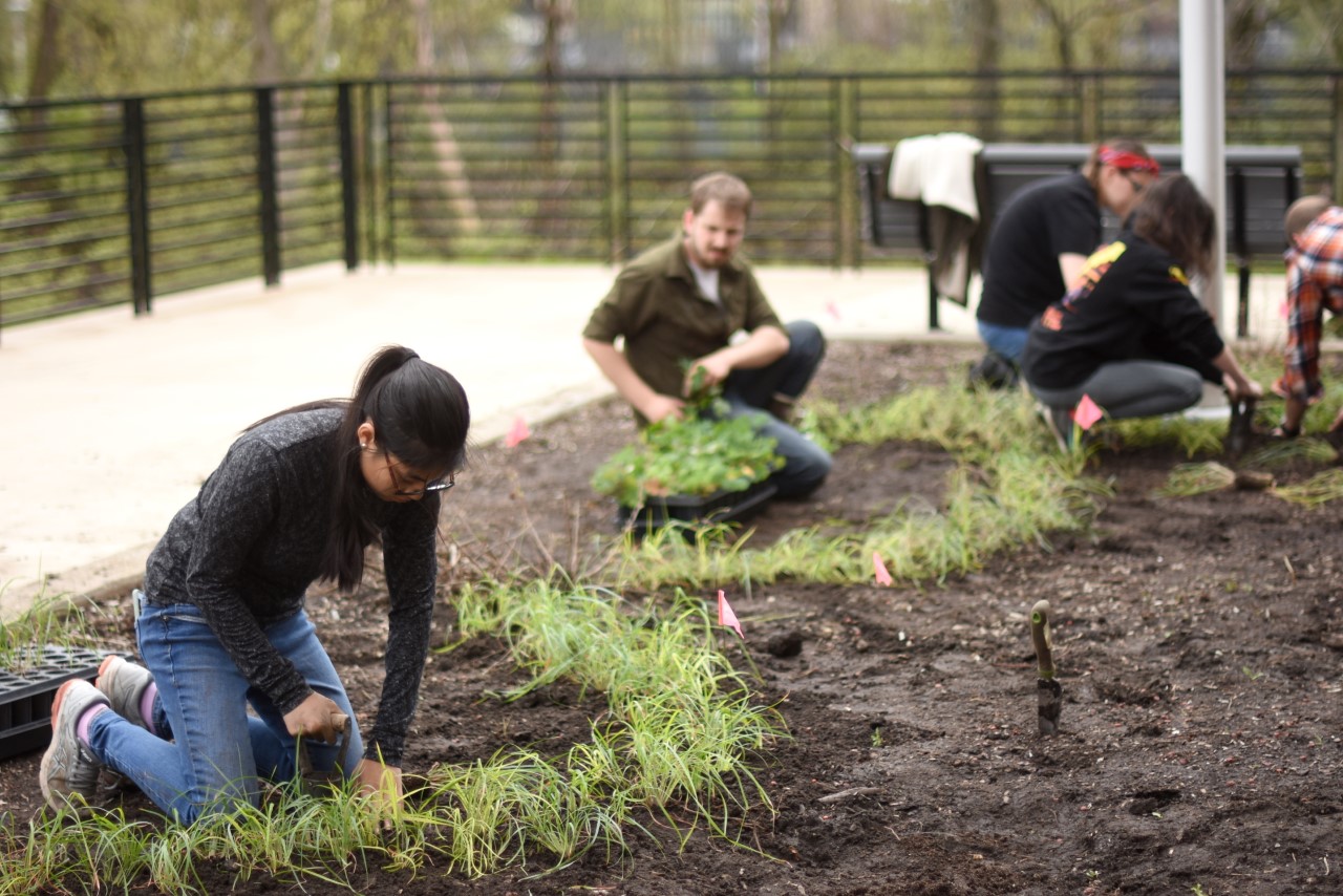 Bachelor of Arts in Environmental Studies